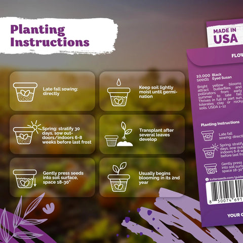 Planting instructions for Top Shelf 10000 Black Eyed Susan Heirloom Flower Seeds For Planting Solid Gold Yellow Daisy.