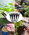 Collage of Five Pack Bonsai Pruning Scissors for Buds and Leaves Trimming Dope Small Pruner Shears Garden Clippers with various plants.