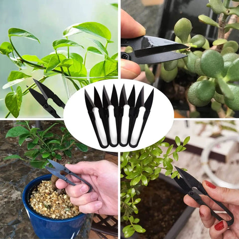 Collage of Five Pack Bonsai Pruning Scissors for Buds and Leaves Trimming Dope Small Pruner Shears Garden Clippers with various plants.