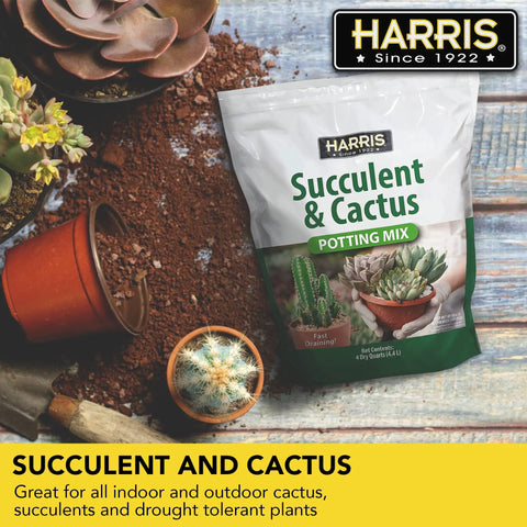 Fast Draining Succulent And Cactus Potting Soil Mix With Added Nutrients For Healthy Roots, Ideal For Indoors Or Outdoors, 4 Quarts bag next to potted cacti.