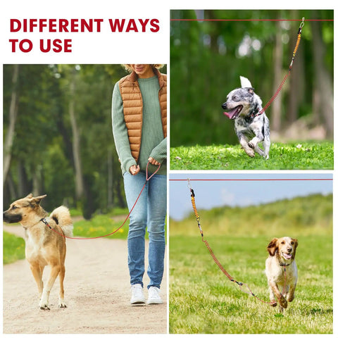 Anti Shock Dog Runner For Yard With Coiled Bungee Cable And Aerial Trolley System in use by different dogs outdoors