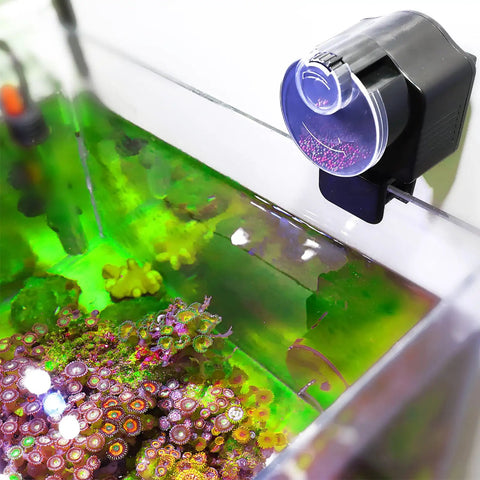 Slick Install Automatic Fish Feeder For Aquarium Battery Operated With Adjustable Portion Control And Vacation Timer mounted on tank.