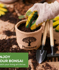 Indoor Bonsai Starter Kit For Adults With Jacaranda Seeds, Tools And Planter, Totally Beginner Friendly, Complete Tree Growing Set