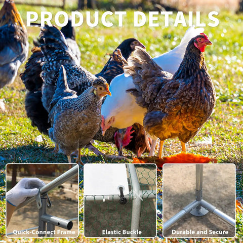 Chickens roaming near Large Metal Chicken Coop Walk In Poultry Cage With Water Resistant Roof And Anti UV Cover Outdoor Run Pen details shown