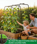 Father and son near U Shaped Metal Garden Trellis For Climbing Cucumbers And Vines, 47 Inch High, in raised bed with netting.