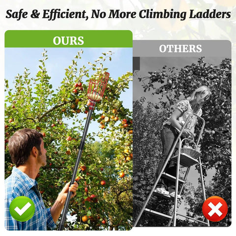 Long Reach 13 Foot Fruit Picker With Basket And Adjustable Stainless Steel Pole Grabber Tool being used to pick apples from a tree, compared to ladder use in black and white image.