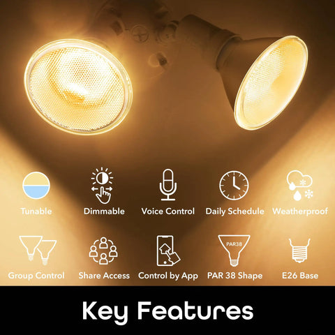 Smart Outdoor Floodlight Bulbs 2700K to 6500K Dimmable LED E26 PAR38 11W 1000 Lumens No Hub Required Works With Alexa and Google Home 2 Pack WiFi Connected key features