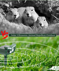 Solar Ultrasonic Outdoor Animal Deterrent Pack With Motion Sensor And Flash Light Keeps Deer Rabbits Squirrels Raccoons And Chipmunks Out Of Your Yard Humane Pest Repellent For Gardens And Lawns Keeps Pests At Bay. Solar stake device in grass