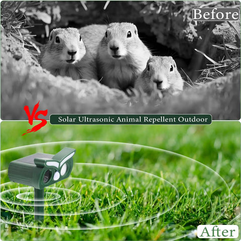 Solar Ultrasonic Outdoor Animal Deterrent Pack With Motion Sensor And Flash Light Keeps Deer Rabbits Squirrels Raccoons And Chipmunks Out Of Your Yard Humane Pest Repellent For Gardens And Lawns Keeps Pests At Bay. Solar stake device in grass
