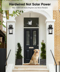 Front porch with Outdoor Pendant Lights For Porch And Entryway Waterproof Anti Rust Exterior Lanterns and dog sitting by door.
