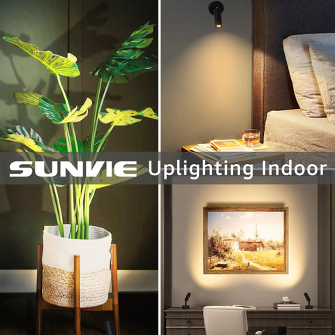 Two Pack 3W Indoor Spotlight Uplights With 10 Ft Cord Dimmable 3000K 4000K 5000K LED Floor Spotlights for plants and wall art