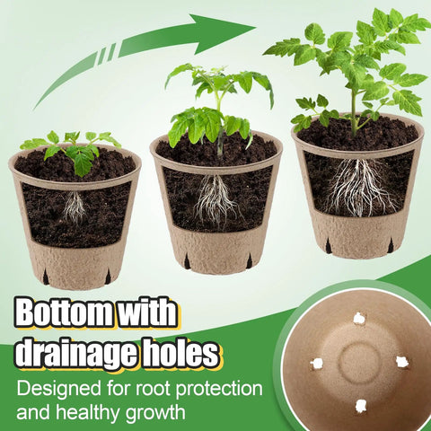 3.2 Inch Biodegradable Peat Pots With Drainage Holes, 50 Pack Seedling Starters Kit, showcasing root growth and drainage holes