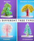 Crystal Growing Tree Kit For Kids, Grow Six Sparkling Crystals In About Six Hours, four colorful crystal tree types shown