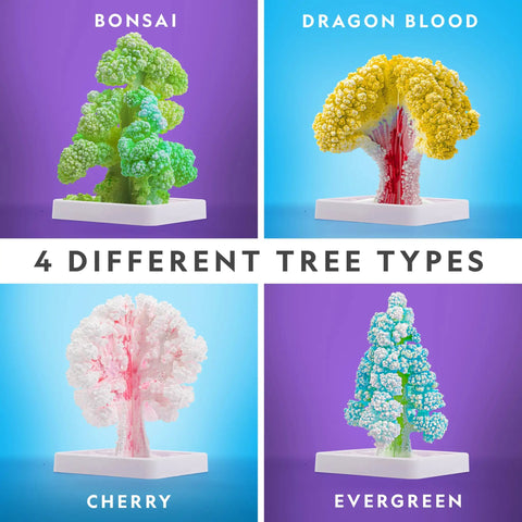 Crystal Growing Tree Kit For Kids, Grow Six Sparkling Crystals In About Six Hours, four colorful crystal tree types shown