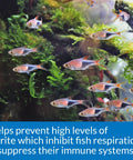 No Fuss Nitrite Test Kit For Freshwater And Saltwater Aquariums shows healthy fish swimming in a lush aquarium environment.