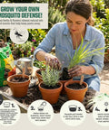 Woman gardening with Garden Aromatic Herb Seed Kit For Mosquito Season With Six Seed Packets For Patio And Deck plants in pots