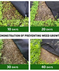 Demonstration of Tough As Nails Weed Barrier Landscape Fabric 3ft By 30ft use over 40 days, showing weed control effectiveness.