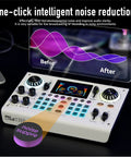 C100 Pro P15 Portable Mixing Console And Sound Card Kit with noise reduction feature displayed