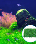 Aquarium with colorful fish, moss-covered rocks, plants, and inset of grass mat. 20 Pack Suction Cups With 40 Zip Ties For Aquarium Tank Decoration Moss Shrimp Nest No Fuss Easy Setup Kit With Flexible Mounts For Pipelines Plants Rocks And Decor Safe For Fish And Shrimp.