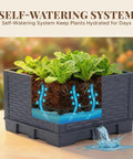 Two Pack 43 Inch Vertical Tomato Planter with Trellis Self Watering Garden Box showing water system and soil cross-section.