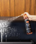 Using exterior spray from Heavy Duty Grill Cleaning Kit With Exterior Detailing Spray And Foaming Degreaser Scraper And Pad