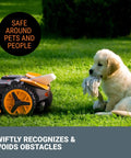 Landroid Vision Robotic Lawn Mower With AI Deep Learning HDR Camera, Wire Free, near dog for active obstacle avoidance demonstration