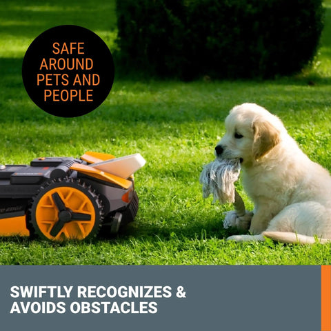 Landroid Vision Robotic Lawn Mower With AI Deep Learning HDR Camera, Wire Free, near dog for active obstacle avoidance demonstration