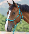 Close-up of a horse wearing a Yearling Size Turquoise Rope Halter For Horses, Super Sturdy Training Halter With Four Knots.