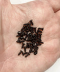 Black Miniature Screws 50 Pack M2 6mm for 1 to 6 and 1 to 12 scale models in hand
