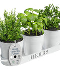 Indoor Herb Garden Planter Set With Tray For Windowsill And Countertop, Metal Farmhouse Style Planters With Drainage, Set Of 3 White, filled with herbs.