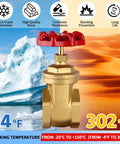 Front view of brass 3/4'' NPT gate valve with red wheel handle; double female threads.