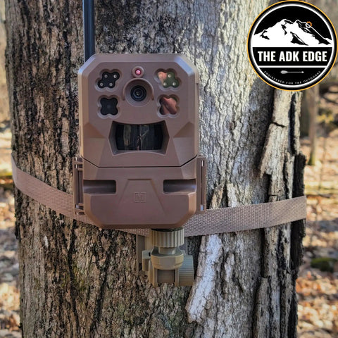 Universal Trail Camera Mount With Standard Camera Thread And 360 Degree Leveling Plus 180 Degree Tilt No Sweat Strap Rig for wildlife photography on tree.