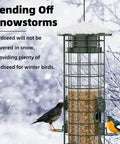 Gravity Fed Squirrel Proof Bird Feeder for Outdoors Easy Hangin with Metal Mesh Design large 3lb capacity green snow background