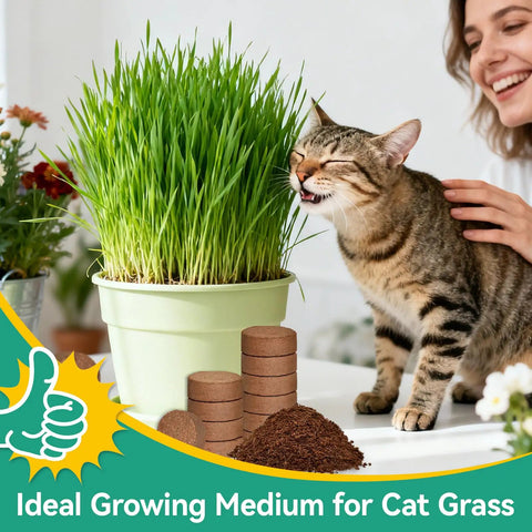 50 Pcs Coco Coir Pellets For Seed Starting Expand To About 3.96 Qt Potting Soil For Indoor Outdoor Gardens Easy Water Activated Seed Starter Pellets Bonsai Herbs Flowers Vegetables next to a pot of cat grass and cat.