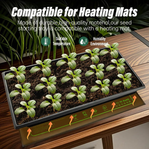 Seed Starter Kit With 10 1020 Seed Trays And 2 Seedling Heat Mats For Faster Germination In Indoor Gardens And Greenhouses setup
