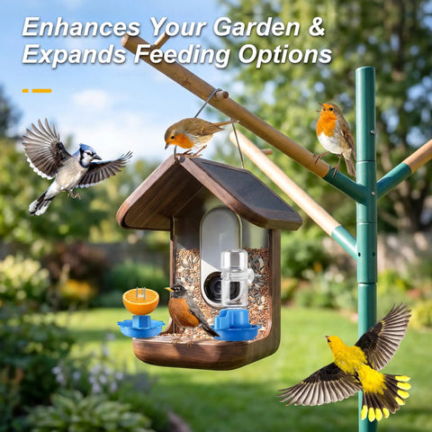 Three In One Bird Nutrition Set With Water Fountain, Fruit Spike And Jelly Tray Feeder for Outdoor Backyards