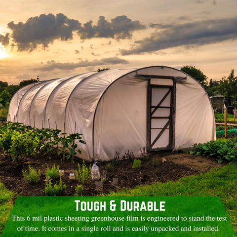 Clear 6 Mil Greenhouse Plastic Sheeting For Hoop Houses UV Resistant Polyethylene Film 25 Foot By 40 Foot Coverage Heavy Duty Garden Cover For Gardening Farming Agriculture