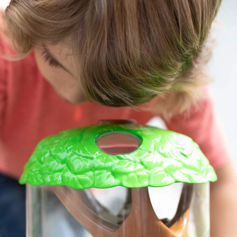 Child examining a ladybug garden kit with live ladybugs, terrarium habitat for kids and toddlers, hands on bug catching set.