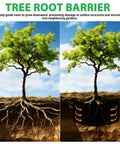 Image showing tree roots before and after using Heavy Duty Bamboo Tree Root Barrier 20ft Long 24in Deep 60mil Thick Weed Blocker.