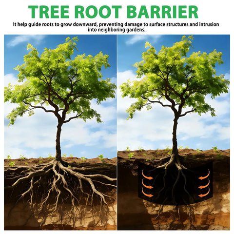 Image showing tree roots before and after using Heavy Duty Bamboo Tree Root Barrier 20ft Long 24in Deep 60mil Thick Weed Blocker.