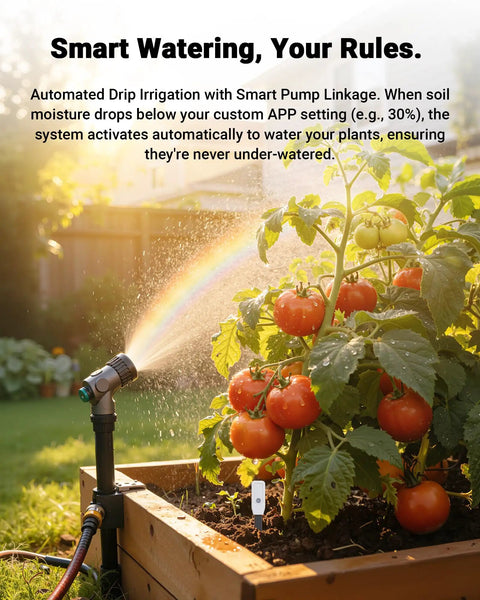 Smart WiFi Soil Moisture Meter For Plants With App Alerts No Guesswork 2 In 1 Sensor Tracks Moisture And Temperature Remotely Real Time Data For Indoor Outdoor Gardening And Houseplant Care, in raised tomato bed