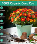 50 Pcs Coco Coir Pellets For Seed Starting Expand To About 3.96 Qt Potting Soil For Indoor Outdoor Gardens Easy Water Activated Seed Starter Pellets Bonsai Herbs Flowers Vegetables - pot with flowers