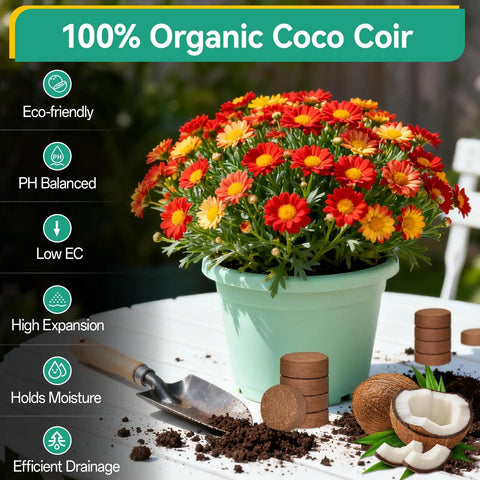 50 Pcs Coco Coir Pellets For Seed Starting Expand To About 3.96 Qt Potting Soil For Indoor Outdoor Gardens Easy Water Activated Seed Starter Pellets Bonsai Herbs Flowers Vegetables - pot with flowers