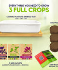 Ceramic Microgreens Growing Kit For Kitchen Garden with planter, bamboo tray, soil pods, and 3 seed packets displayed.