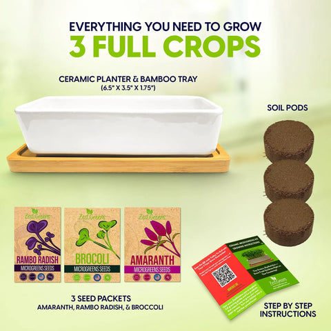 Ceramic Microgreens Growing Kit For Kitchen Garden with planter, bamboo tray, soil pods, and 3 seed packets displayed.