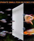 Two Piece Transparent Aquarium Divider With Heavy Duty Suction Cups For Stress Free Fish Separation Breeding And Territory Control Reusable Adjustable Plastic Grid Partition 17X13 Inches, clear divider in tank separating different fish.