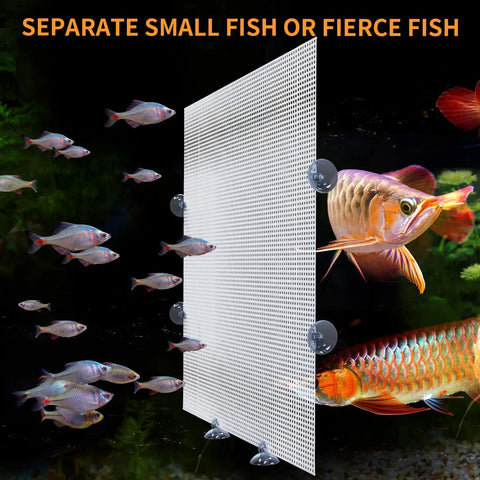 Two Piece Transparent Aquarium Divider With Heavy Duty Suction Cups For Stress Free Fish Separation Breeding And Territory Control Reusable Adjustable Plastic Grid Partition 17X13 Inches, clear divider in tank separating different fish.