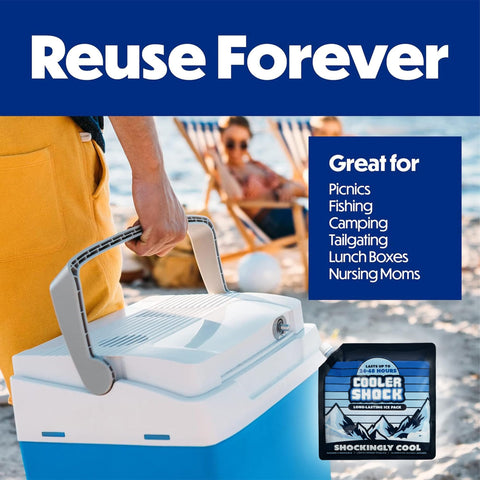 Person carrying cooler with Four Pack 10x10 Inch Cooler Ice Packs With Screw Cap No Ice Needed 18 Degrees F Phase Change