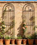 Sturdy 2 Pack Garden Trellis Set, 70.8 Inch Tall Metal Plant Support With Black Powder Coat against brick wall in a garden setting.