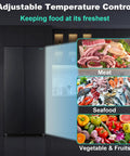 15.6 Cubic Foot Side By Side Refrigerator In Sleek Black showcasing adjustable temperature control for meat, seafood, and fruits.